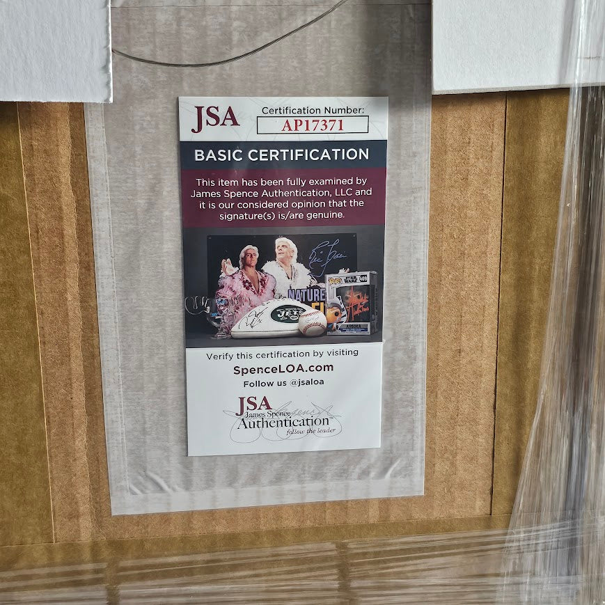 Rex Orange County Signed Autographed Who Cares CD JSA framed