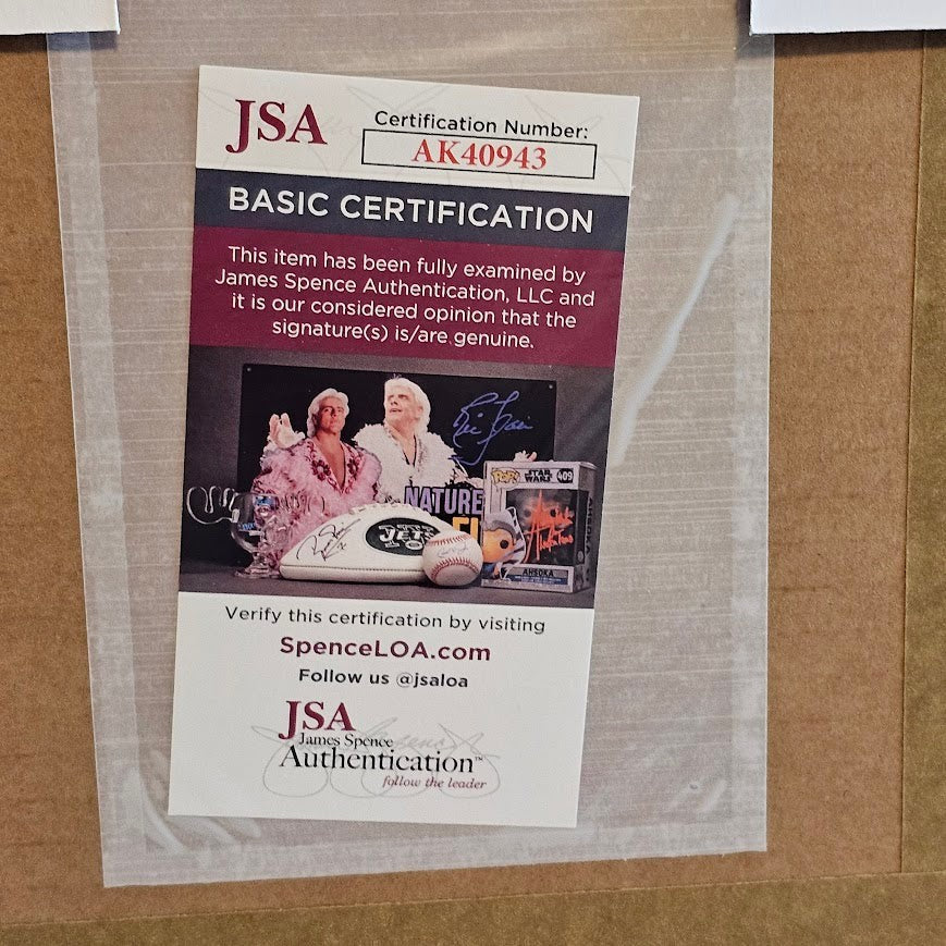 Jonas Brothers Signed The Album CD Autographed JSA  COA Framed