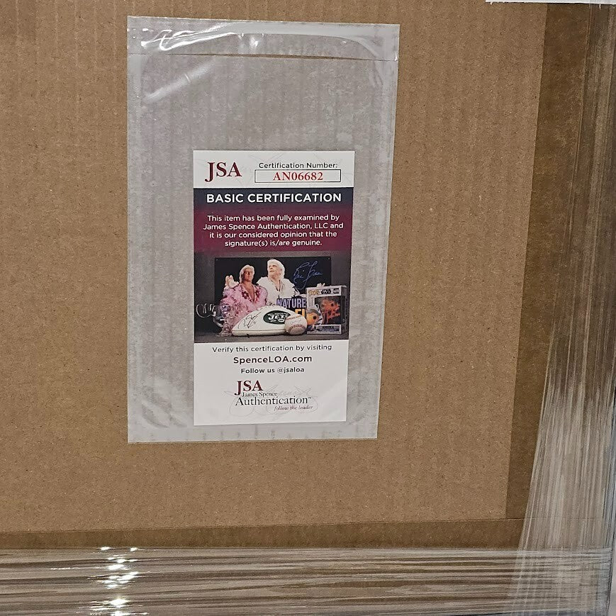 Rick Springfield  signed Autographed Automatic CD JSA Certified  Framed