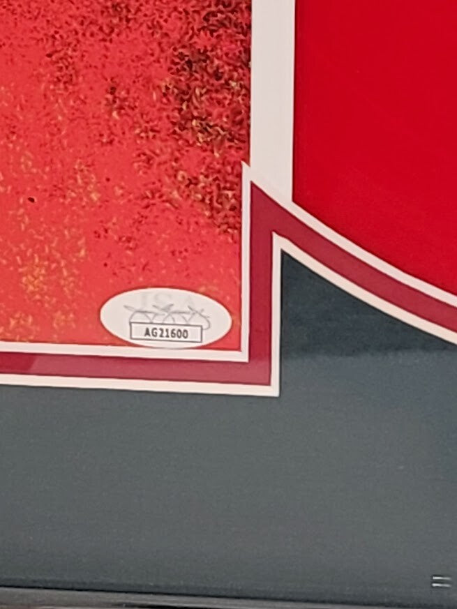 Duran Duran  SIGNED Future Past  RED LP Autographed JSA certified Limited Framed