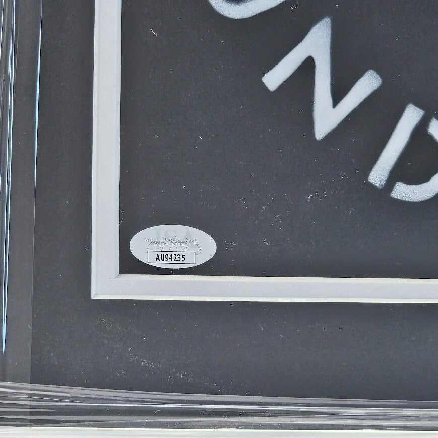 Frank Turner Signed Undefeated LP  Autographed  JSA COA Limited edition 738/2500