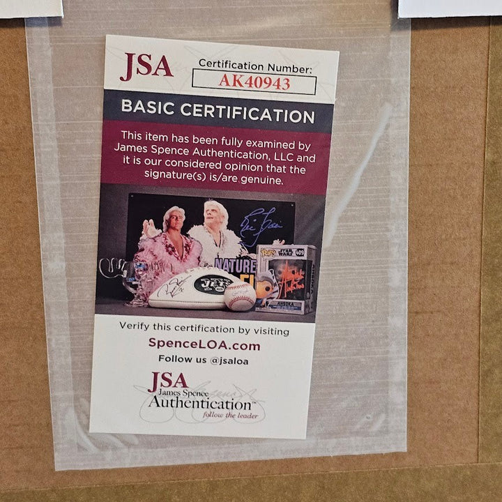 Jonas Brothers Signed The Album CD Autographed JSA Authenticated Framed