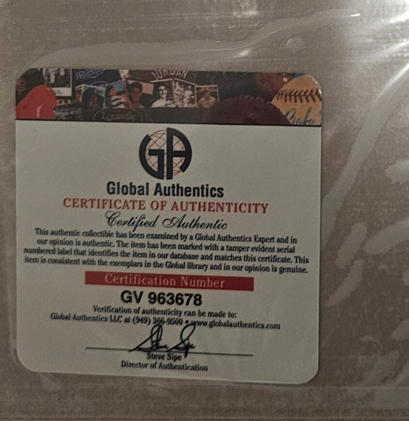 Brendon Urie Panic at the Disco Signed Autographed Pray for the Wicke CD  COA